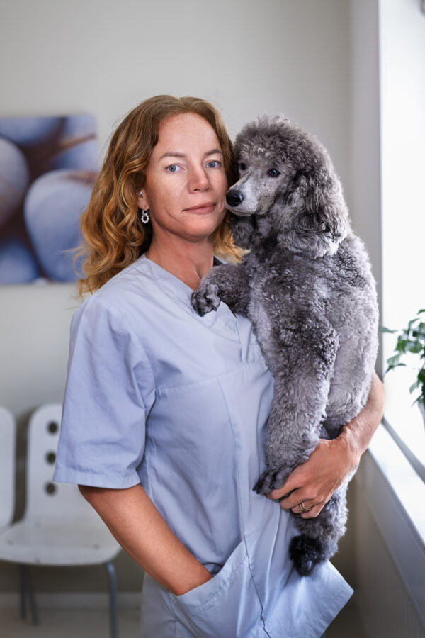 Akutsjukvård för hund och katt: Liveföreläsning, Stockholm